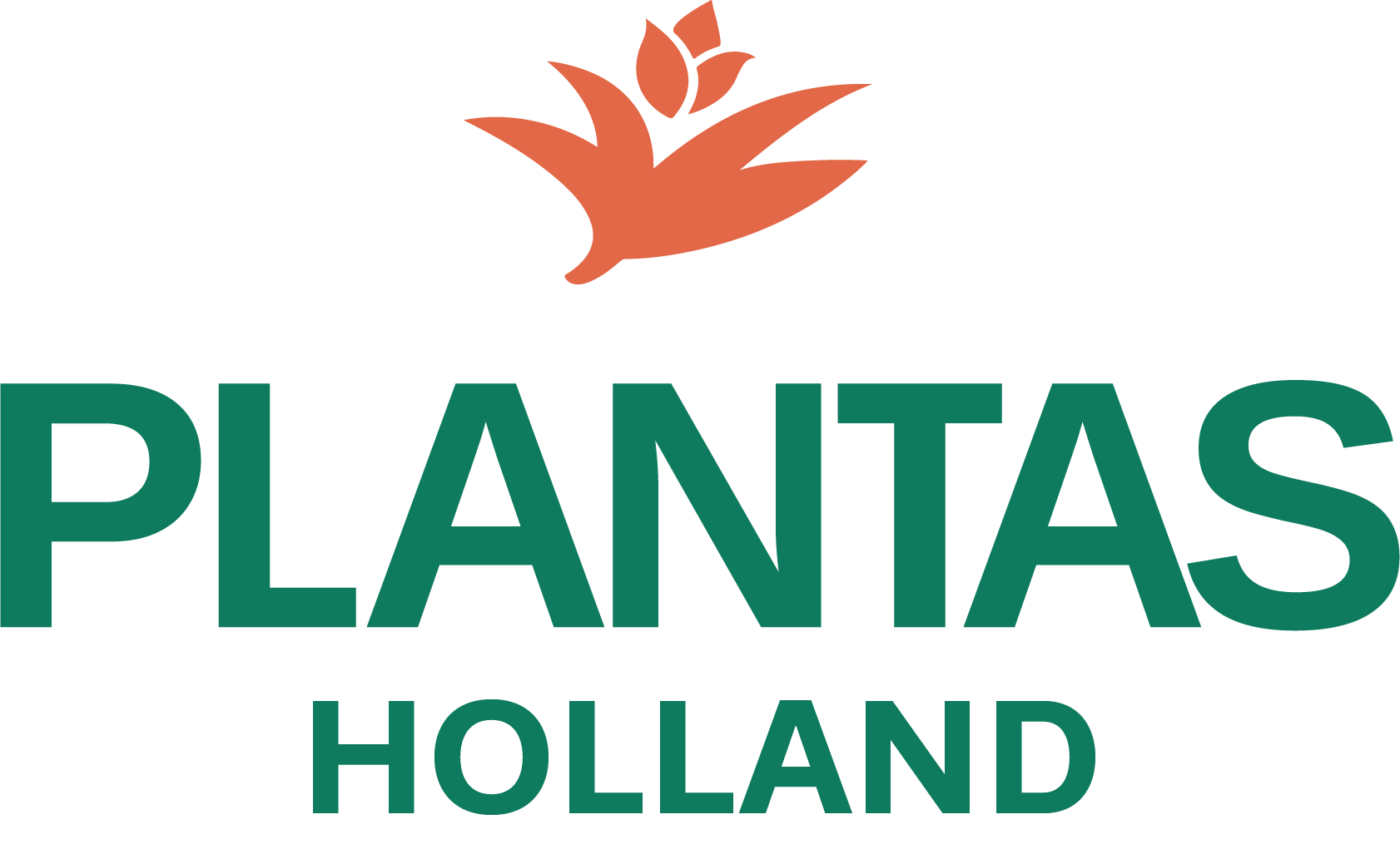 team-plantas-holland